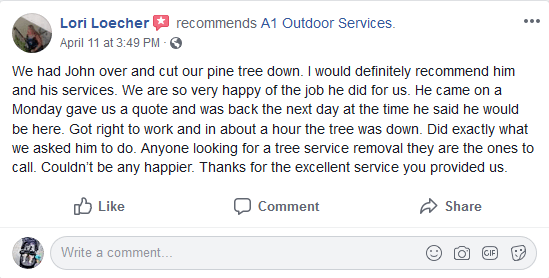 5-Star Review of A1 Outdoor Services by Lori Loecher