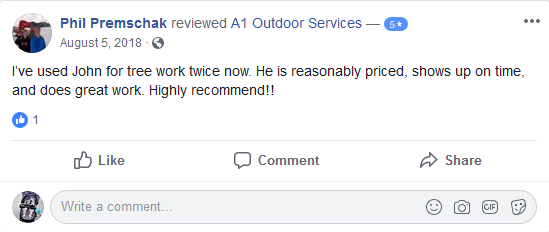 5-Star Review of A1 Outdoor Services by Phil Premshcak