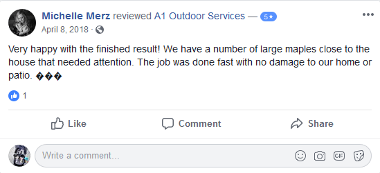 5-Star Review of A1 Outdoor Services by Michelle Merz