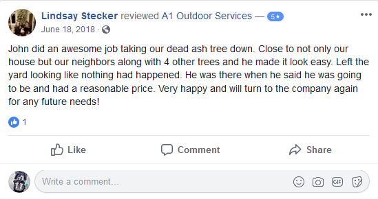 5-Star Review of A1 Outdoor Services by Lindsay Stecker