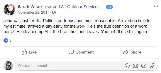 Testimonial for A1 Outdoor Services by Sarah Wiser