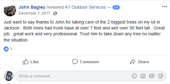 5-Star Review of A1 Outdoor Services by John Bagley